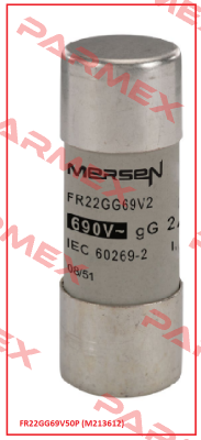 FR22GG69V50P (M213612)  Mersen