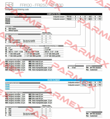 FRI-100-B-A-G1-A25-N-P01 MP Filtri