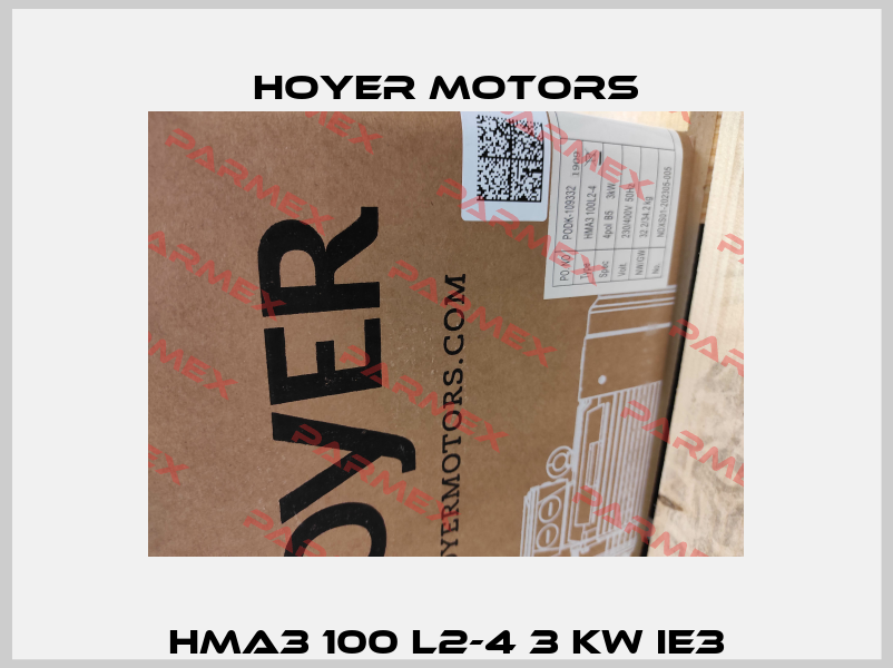 HMA3 100 L2-4 3 kW IE3 Hoyer Motors